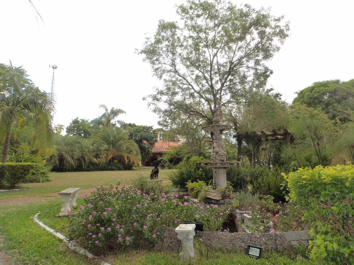 Rosa Cortiana Escalera Apartment เซากาเบรียล ภายนอก รูปภาพ